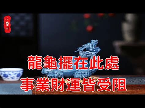 龍頭烏龜身|龍龜：風水中的王者